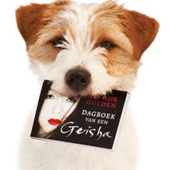 Hunters Pride, of the Jack Russell Terriers