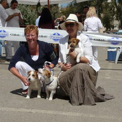 Baci, JRT kennel van 't