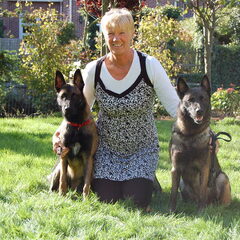 Kennel Van Goeden Huize
