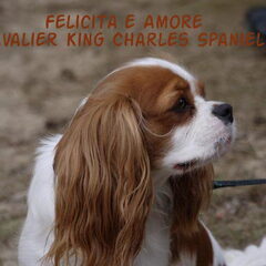 Felicita e Amore