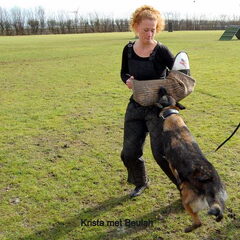 Kennel Van Goeden Huize