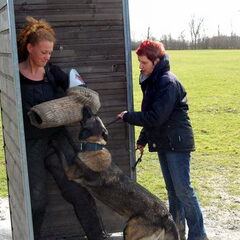 Kennel Van Goeden Huize