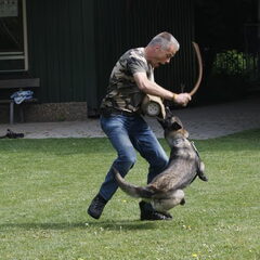 Kennel Van Goeden Huize