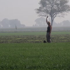 Kennel Van Goeden Huize