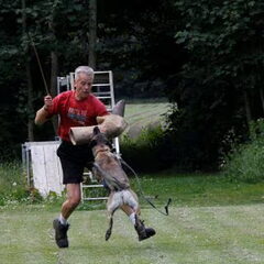 Kennel Van Goeden Huize