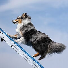 Amazing Velocity
