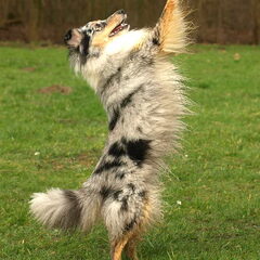 Amazing Velocity