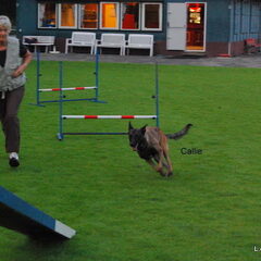 Kennel Van Goeden Huize