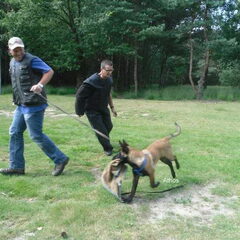 Kennel Van Goeden Huize