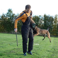 Kennel Van Goeden Huize