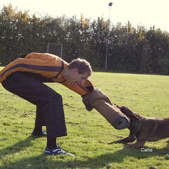 Kennel Van Goeden Huize