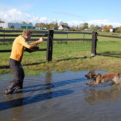 Kennel Van Goeden Huize
