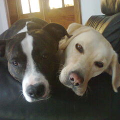 Marley's