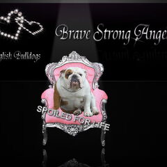 Brave Strong Angels