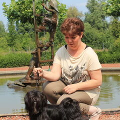 Destination of Love, Lhasa apso kennel