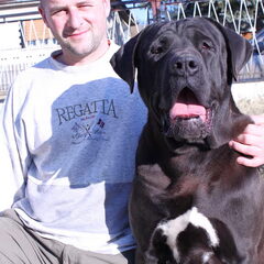 Sojtor Szepe Kennel