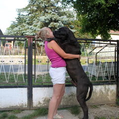Sojtor Szepe Kennel