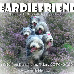 Beardiefriends