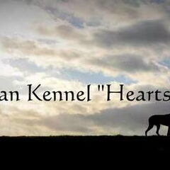 Tamaskans "Hearts of Fire"