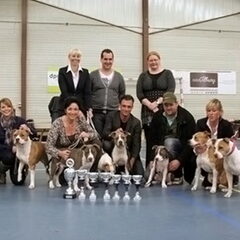Dirk's Amstaff
