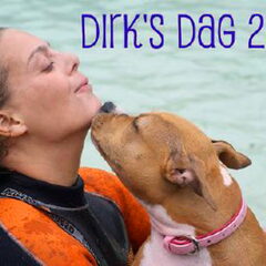 Dirk's Amstaff