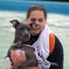 Dirk's Amstaff