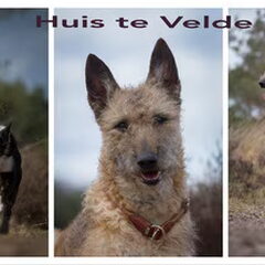 Huis te Velde