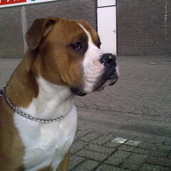 maart 2010 bijna 1 jaar oud