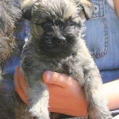 Yuna op schoot bij Milou