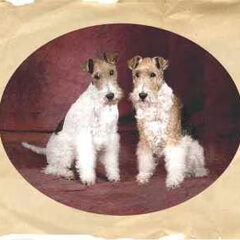 Moeder Timmie en Dochter Daisy.