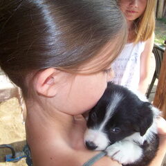 Tessa met Pip (6 weken)