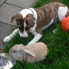 wat lief .....