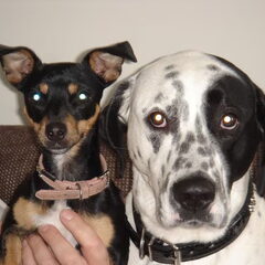 samen