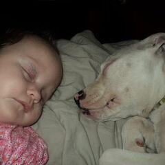 Sweet dreams!
