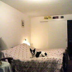 mmm... lekker dat bed. zo zacht!!