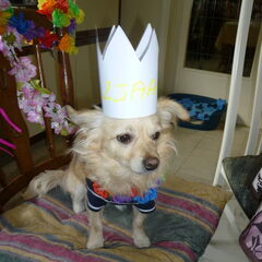 Joepiee 2 jaar !!