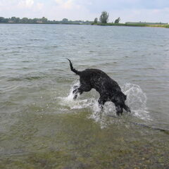 dat is echt lekker, maar dieper ga ik niet hoor ! dat is…