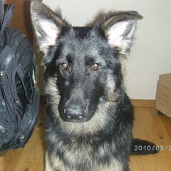 Silas 7 maand