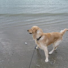 Ahhhhhh...het water beweegt!!