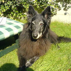 in de zon