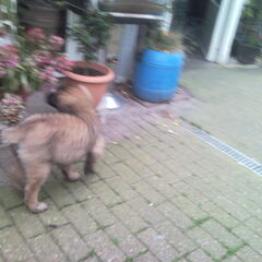 Op verkenning