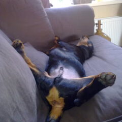 Lekker relax