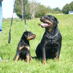 samen met moeder kelly