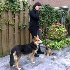 samen met moederhond