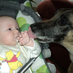 Mmmm, lekker hoor, zo'n papje!