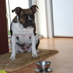 shady onze knuffel....