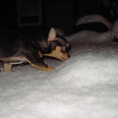 Brrrrrrrrrr kouwe voeten