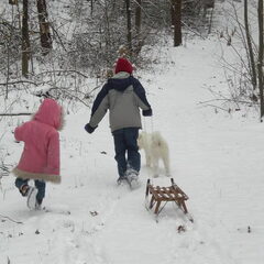 jong geleerd:-)