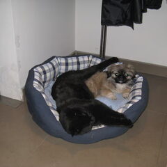 louise en breezer,lekker knus,toch ?