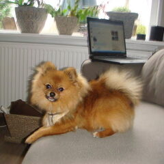 Boeffie 9 mnd!